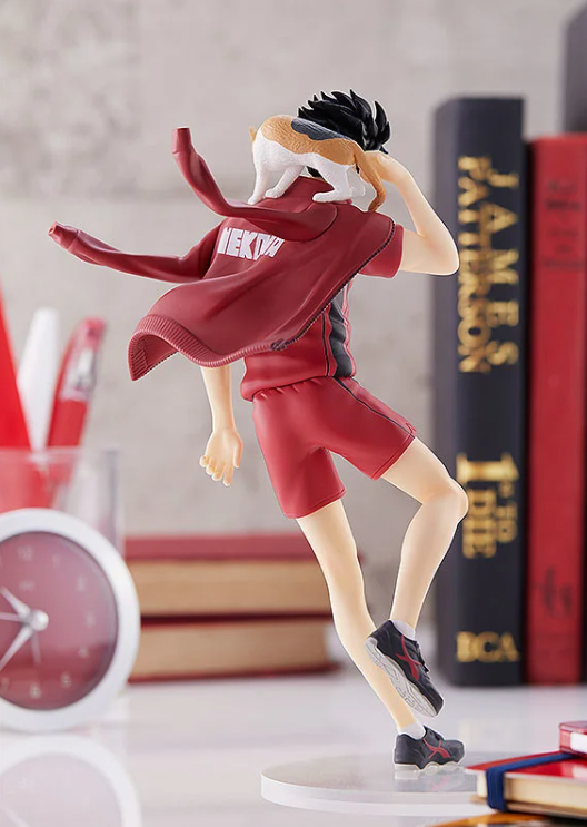 Haikyu - Tetsuro Kuroo